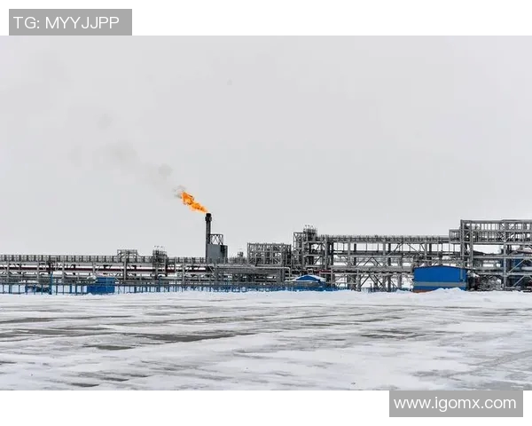 亚马尔地区的资源开发与国际合作前景分析与展望